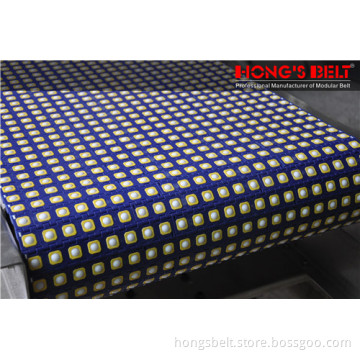 The Food Grade Sorting Modular Conveyor Belt (HS-2800C)